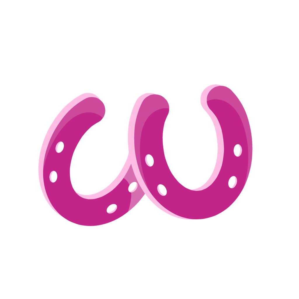 Accessories For The Horse