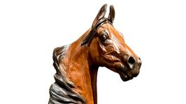 Equine Estate Sale